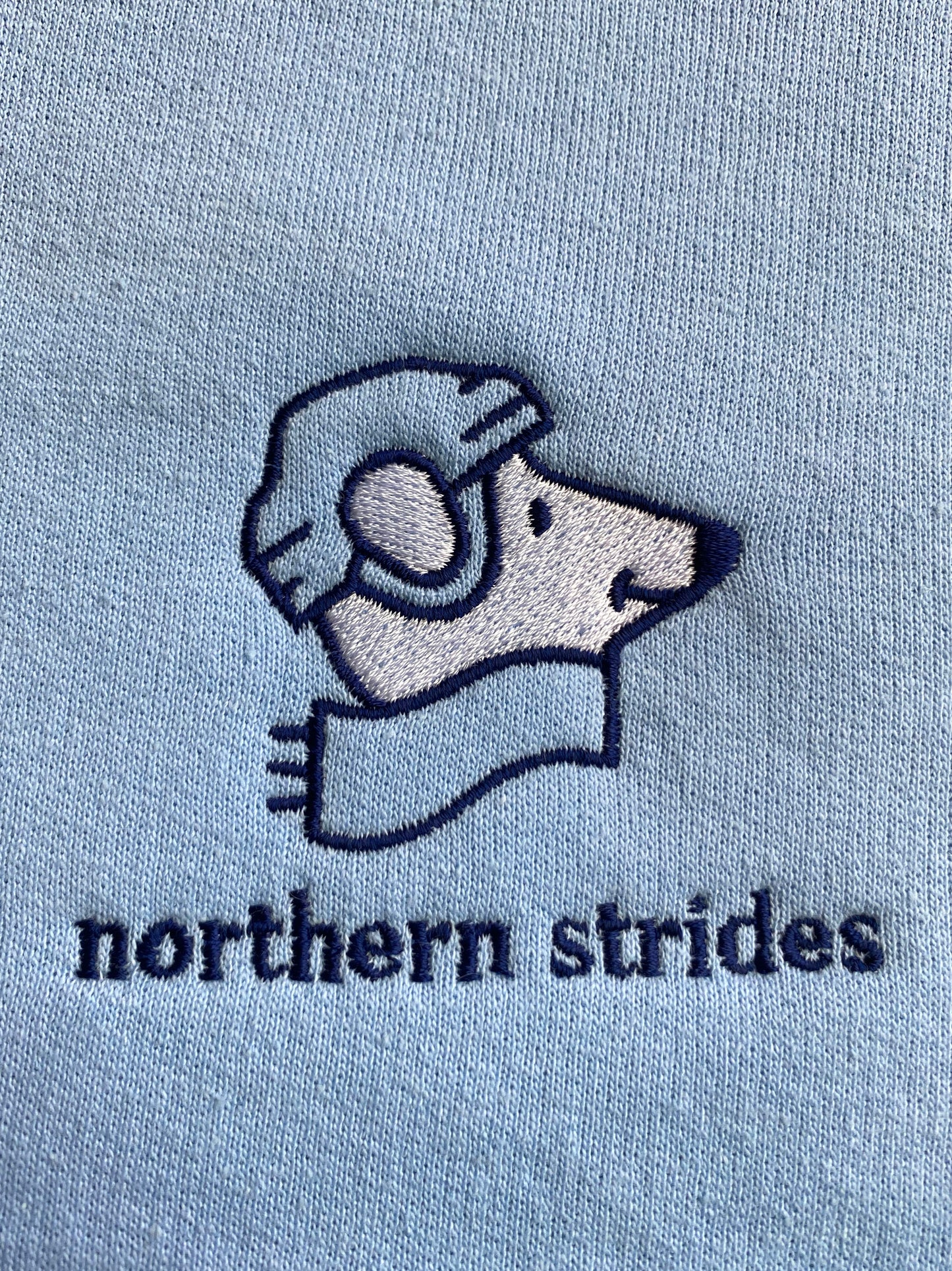 Northern Strides • Ice Blue Embroidered Hoodie