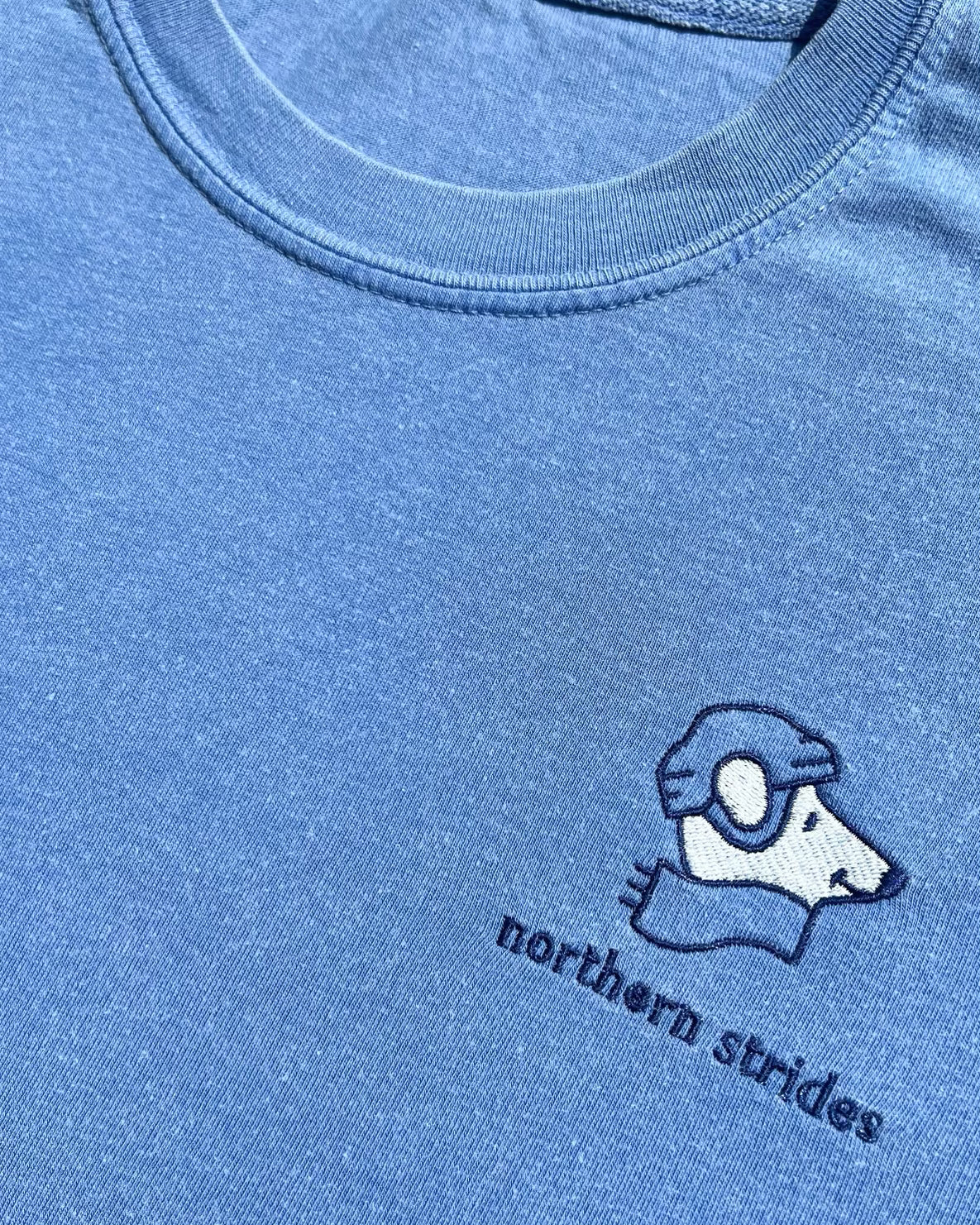 Northern Strides • Embroidered Tee