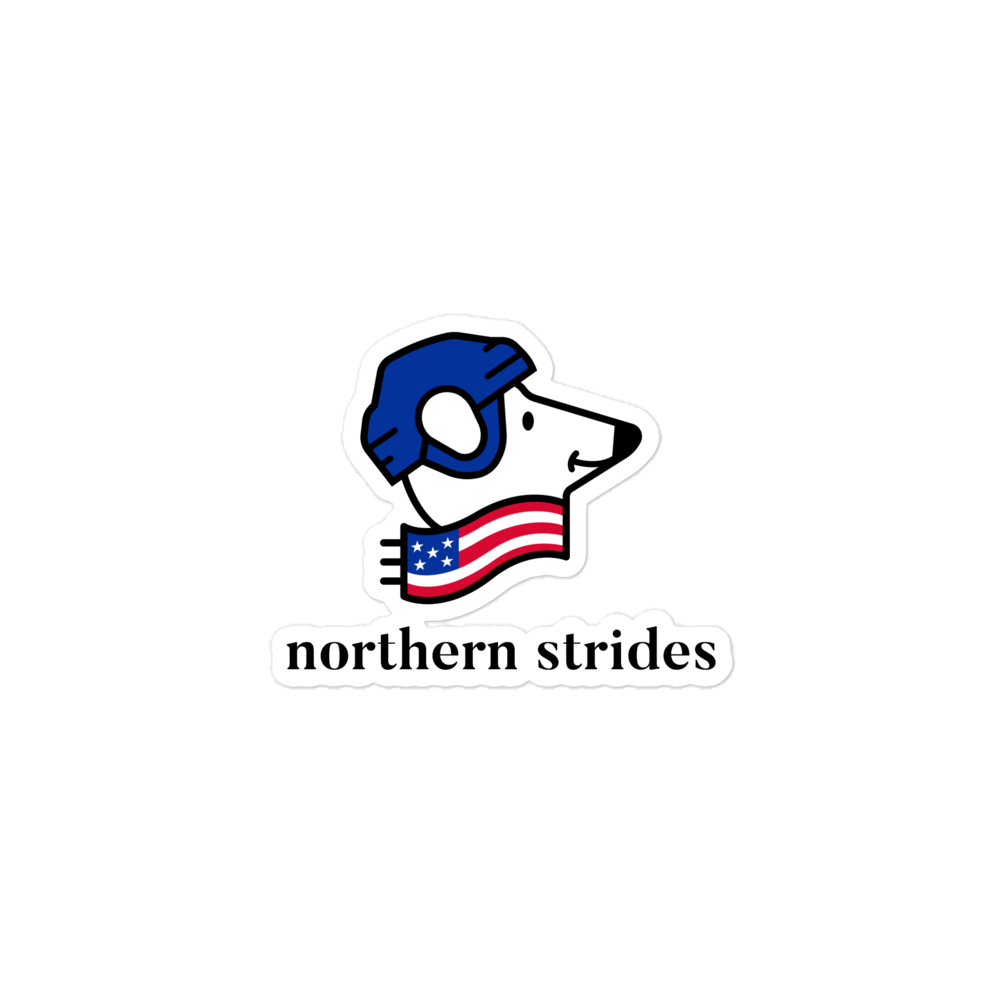 USA Bear • Sticker