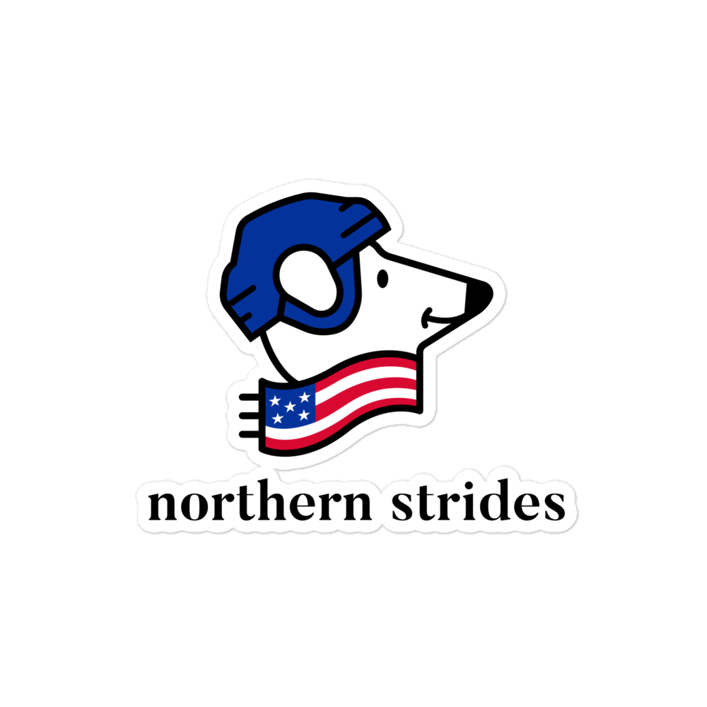 USA Bear • Sticker