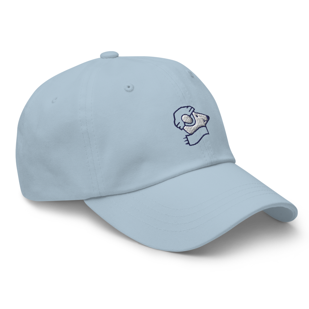 Northern Strides • Hat